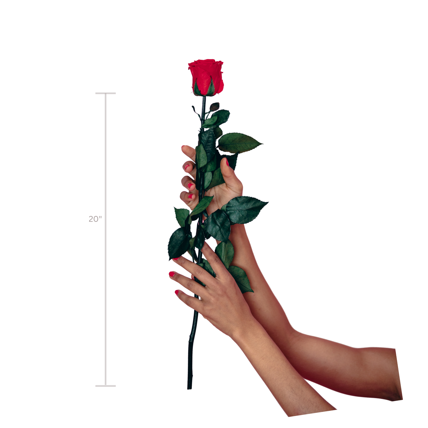 Corporate Sponsorship Packages