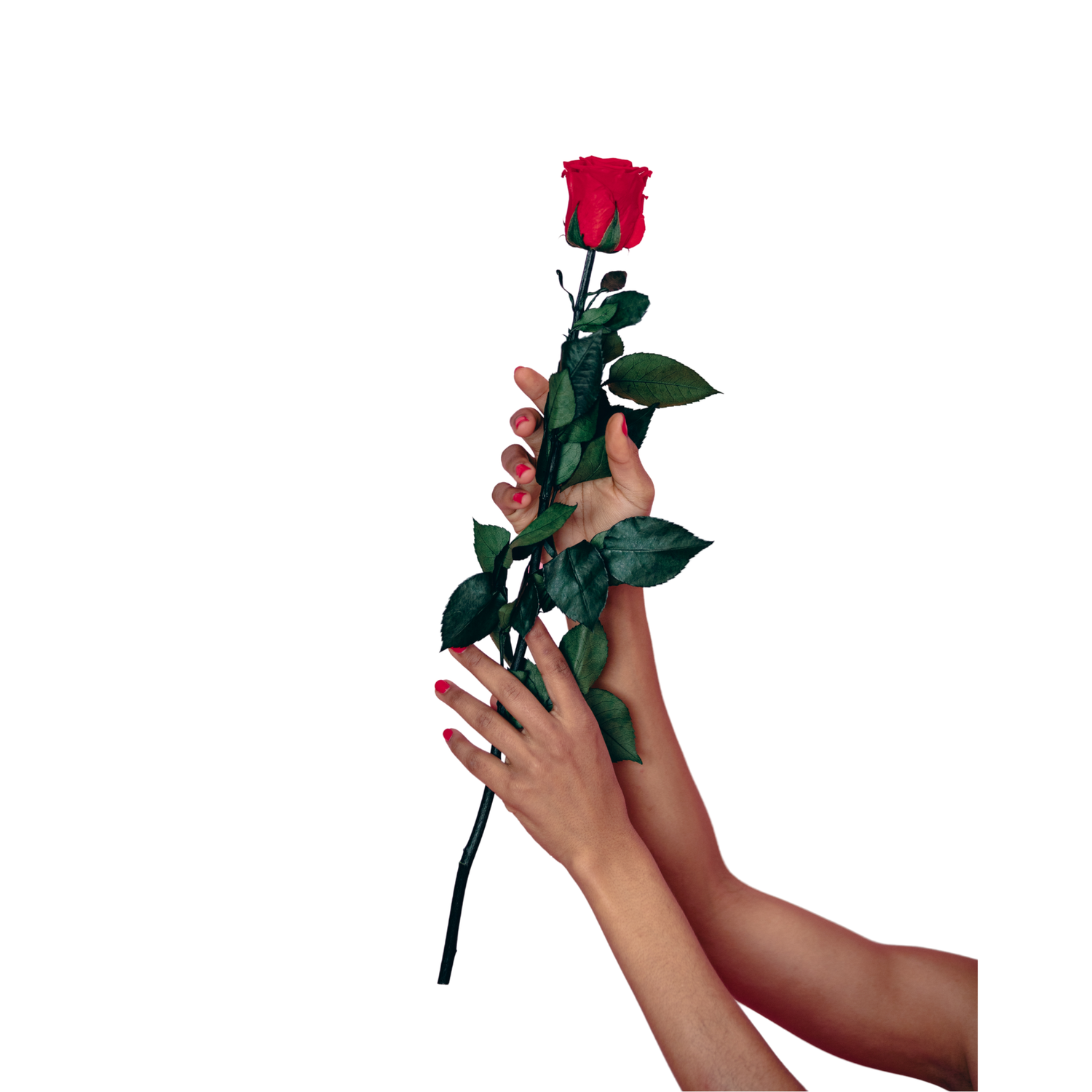 Corporate Sponsorship – Tomlin Dance Academy Fundraiser