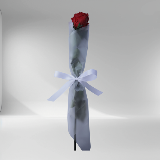 Mother’s Day Forever Rose