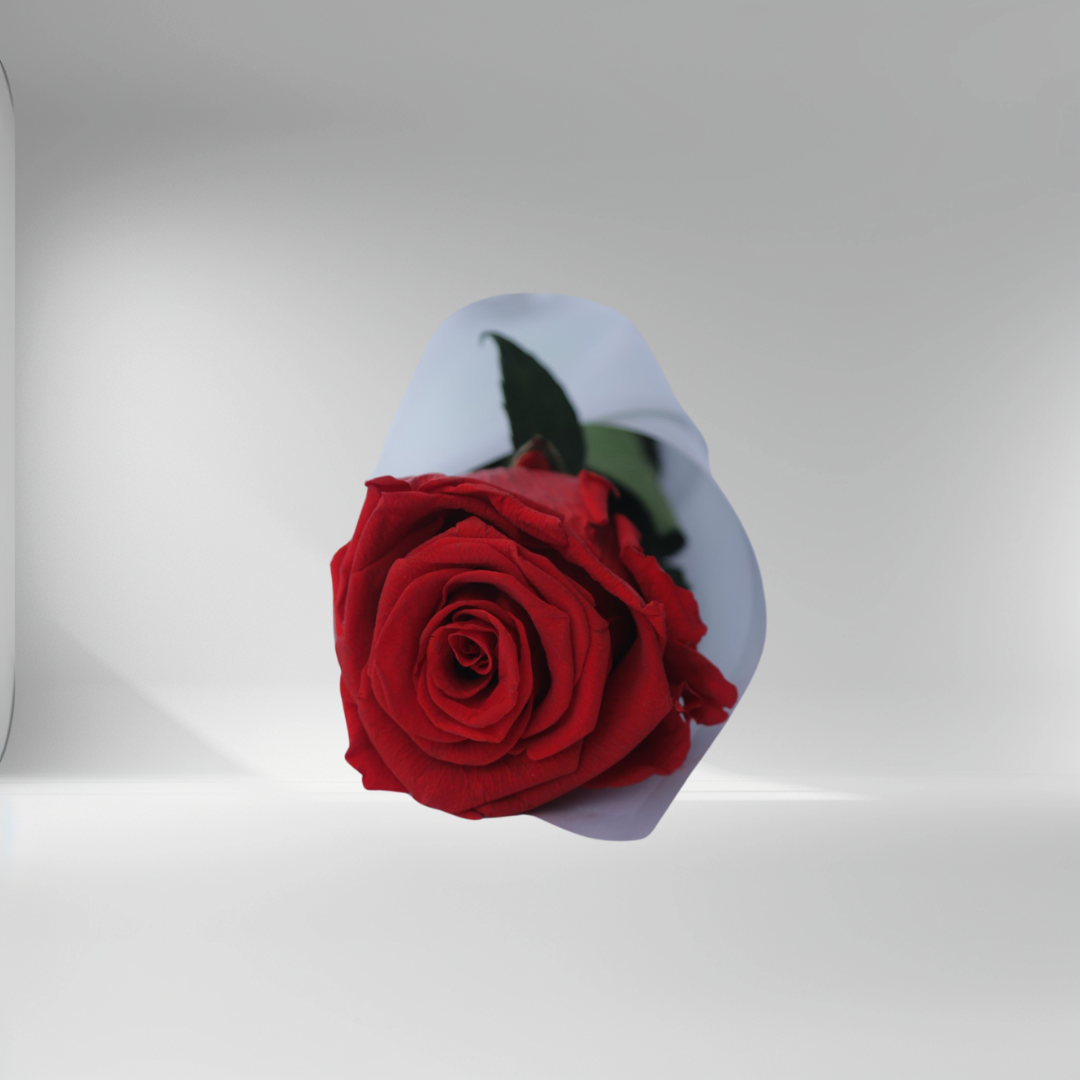 Mother’s Day Forever Rose - Collab CDC