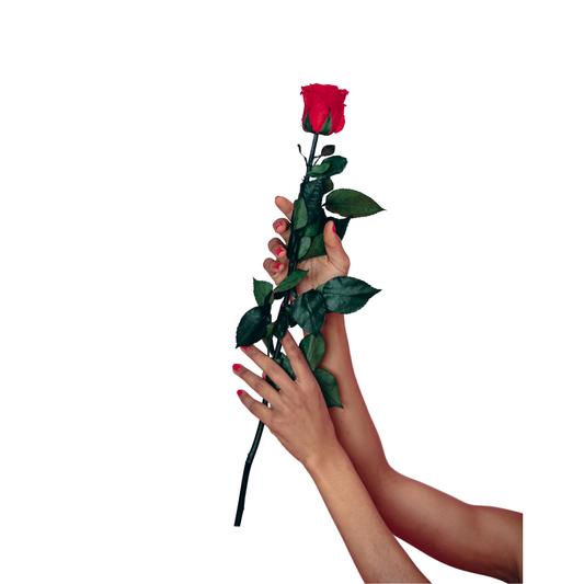 Corporate Sponsorship Packages