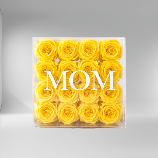 Custom Orders Starting at $99 - Collab CDC