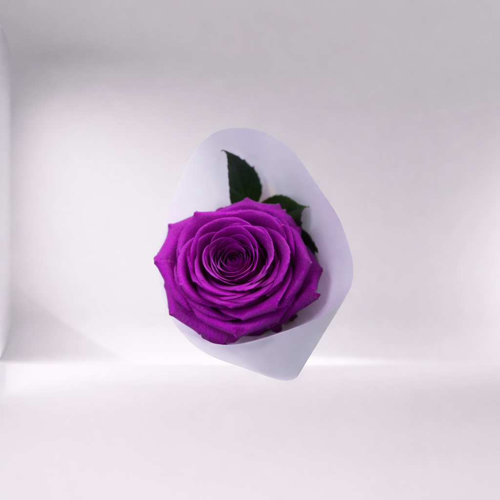 Mother’s Day Forever Rose - Collab CDC