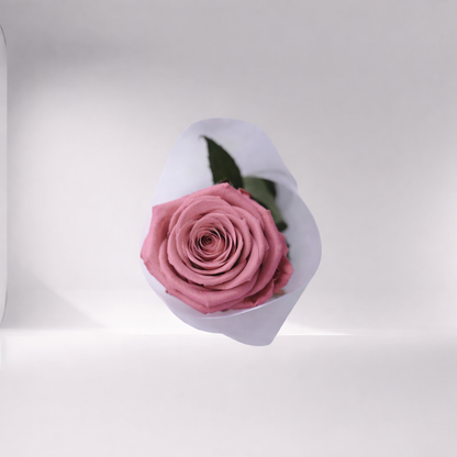 Mother’s Day Forever Rose - Collab CDC