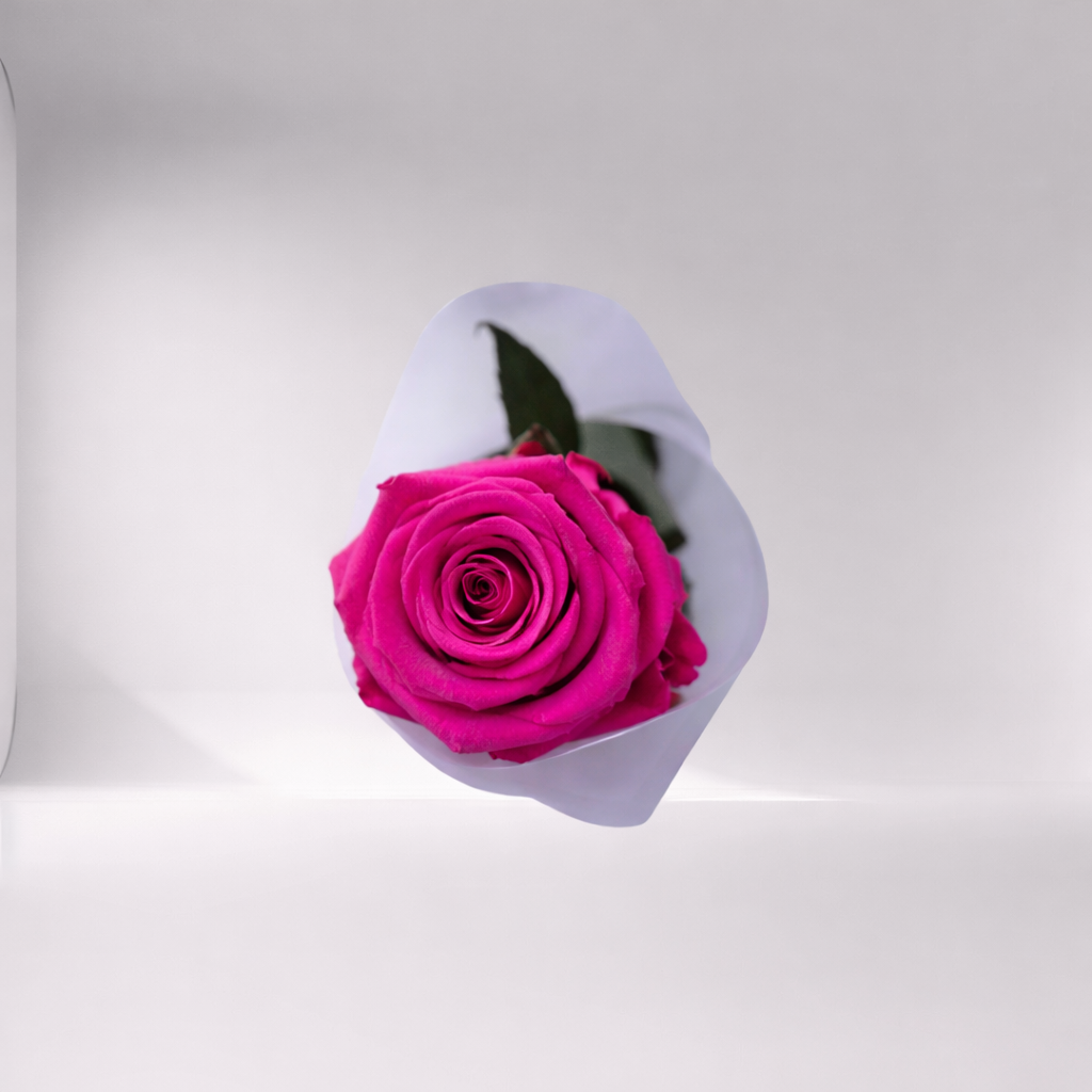 Mother’s Day Forever Rose - Collab CDC