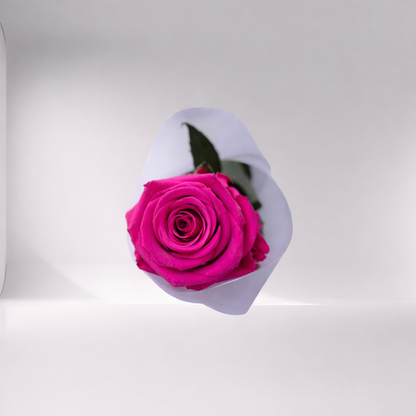 Mother’s Day Forever Rose - Collab CDC