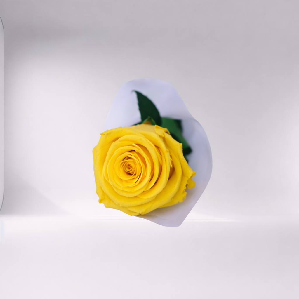 Mother’s Day Forever Rose - Collab CDC