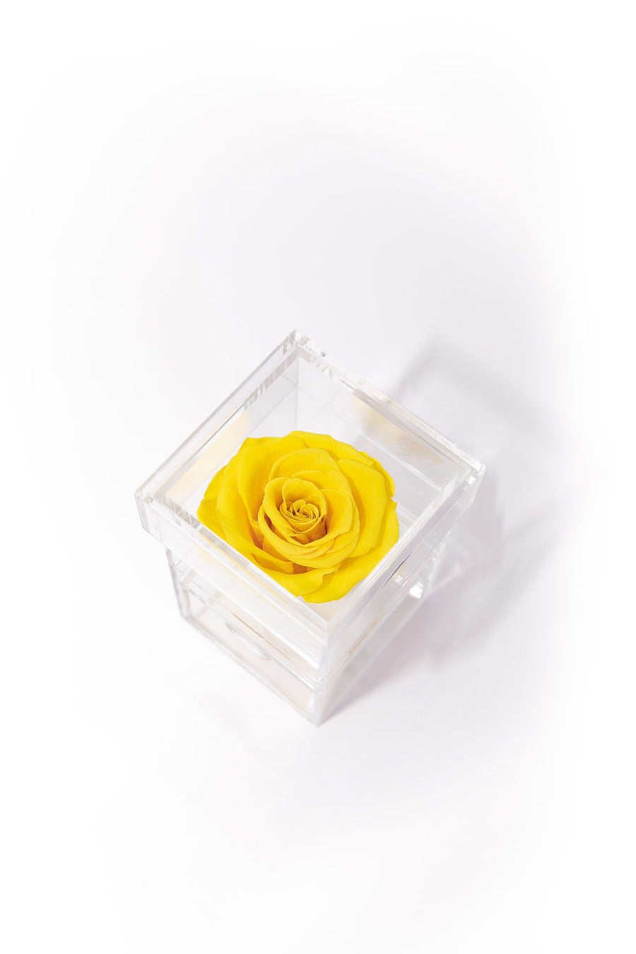 YELLOW SINGLE PRESERVED ROSE