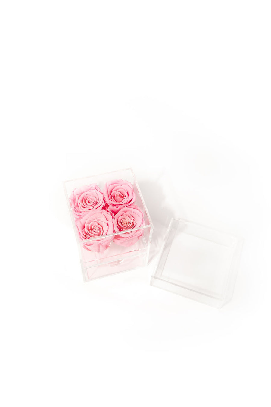 PINK FOUR PRESERVED ROSES