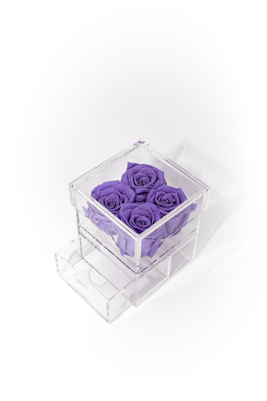 PURPLE FOUR PRESERVED ROSES