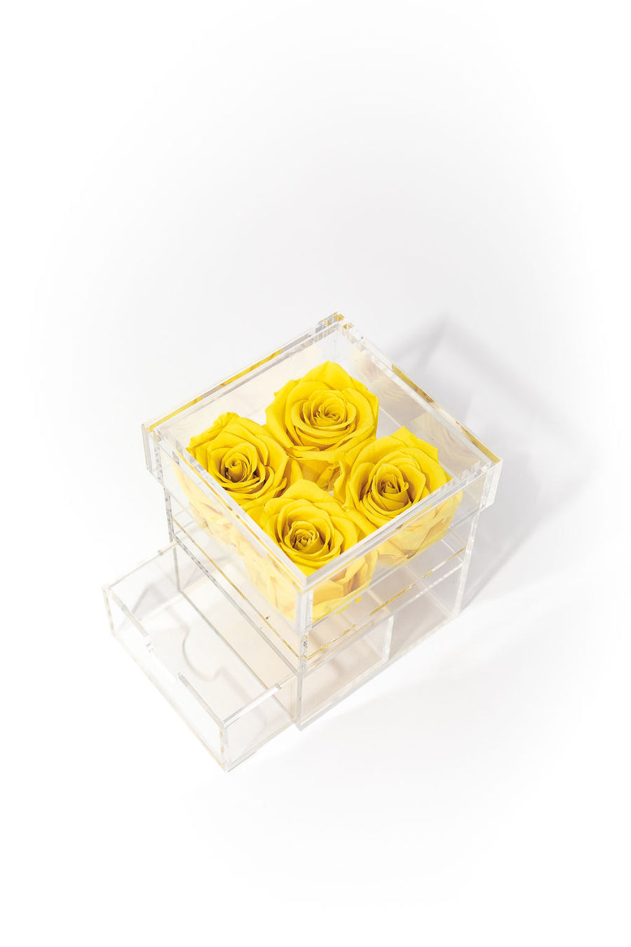 YELLOW FOUR PRESERVED ROSES
