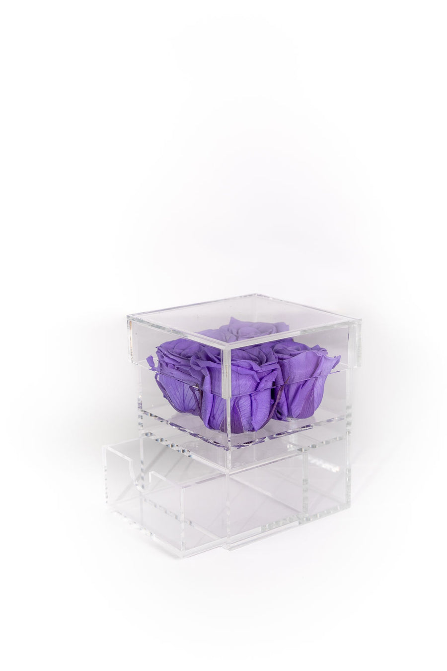 PURPLE FOUR PRESERVED ROSES