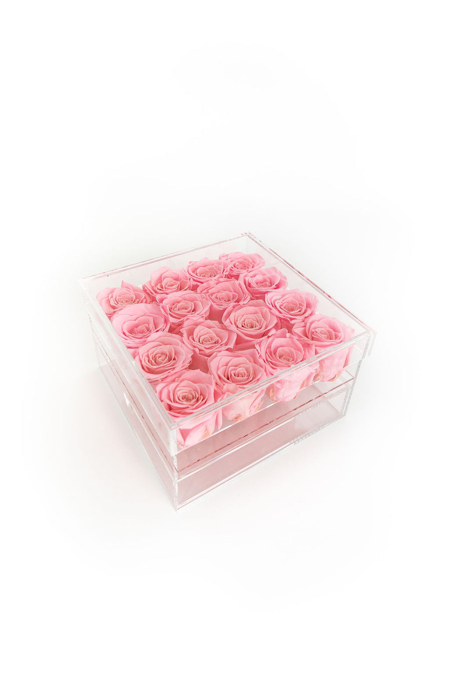 PINK 16 PRESERVED ROSES