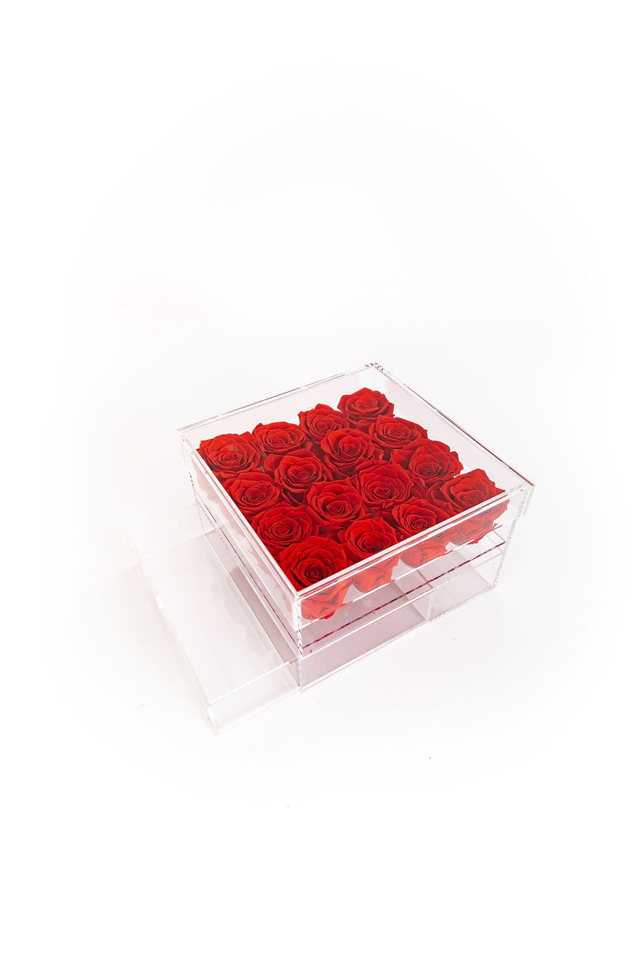 RED 16 PRESERVED ROSES