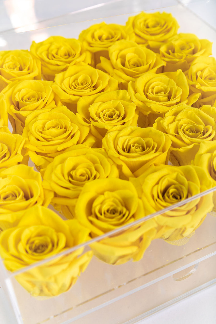 YELLOW 25 PRESERVED ROSES