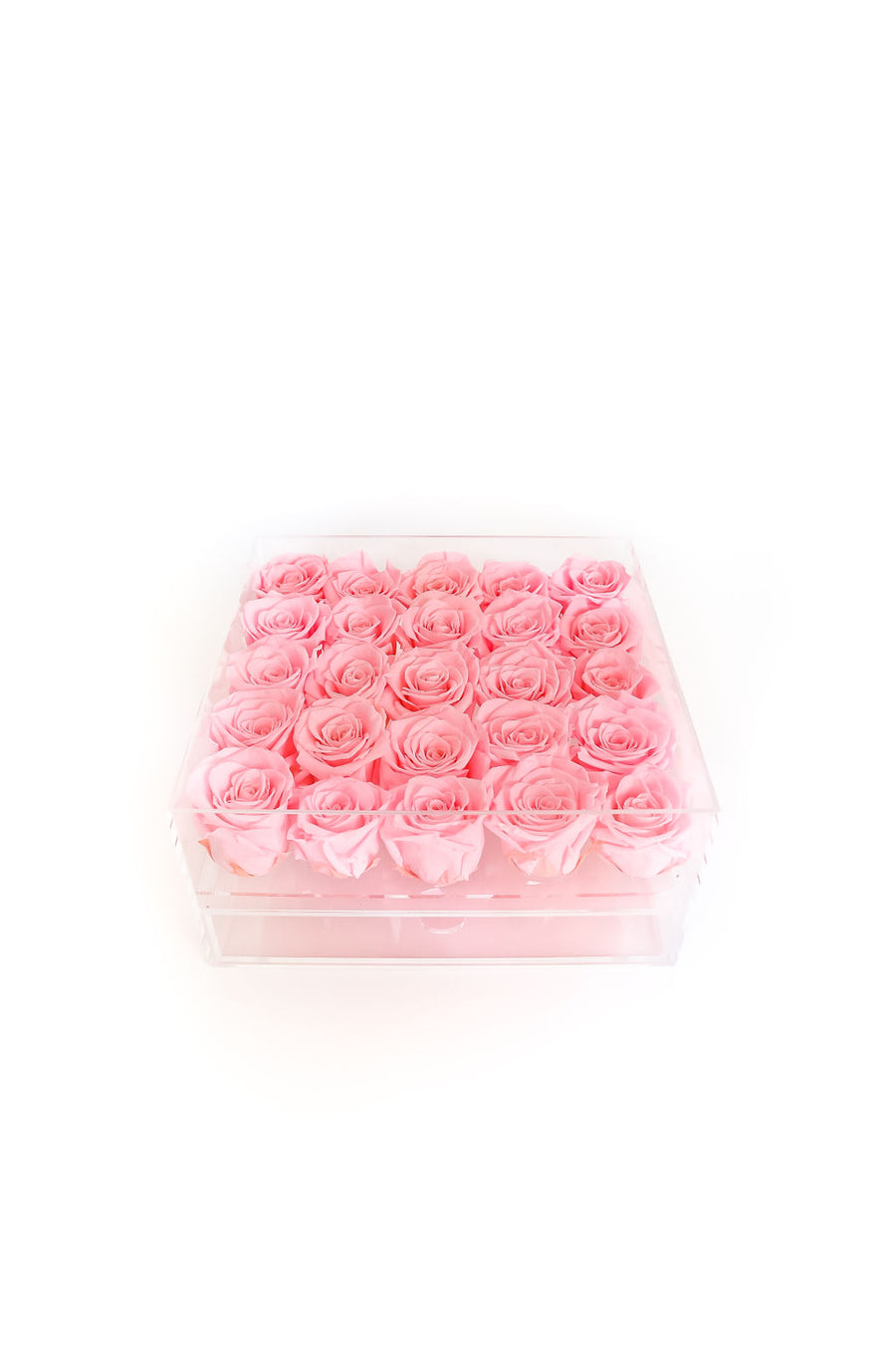 PINK 25 PRESERVED ROSES