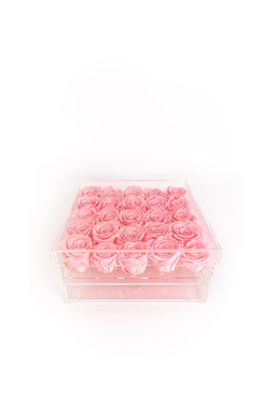 PINK 25 PRESERVED ROSES